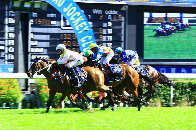 KELOWNA STAR winning the THE BALLARAT