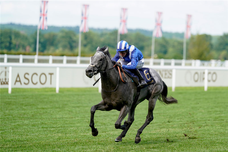 KHALOOSY winning the Britannia Stakes (Heritage Handicap) at Ascot in England.