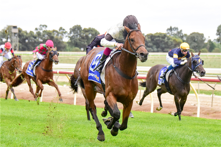 KHOEKHOE winning the EMP & D 2YO Maiden Plate in Echuca, Australia.