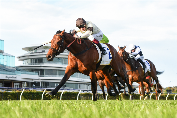 KHOEKHOE winning the Kirkland Lake Gold Super Impose Stakes at Flemington in Australia.