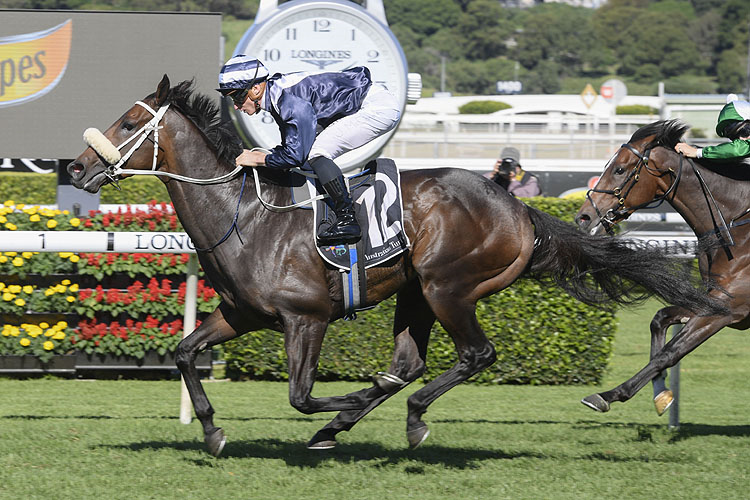 KINANE. winning the Cactus Imaging F Packer Plate.