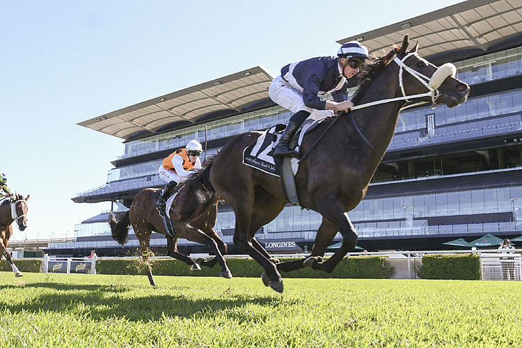 KINANE winning the Cactus Imaging F Packer Plate