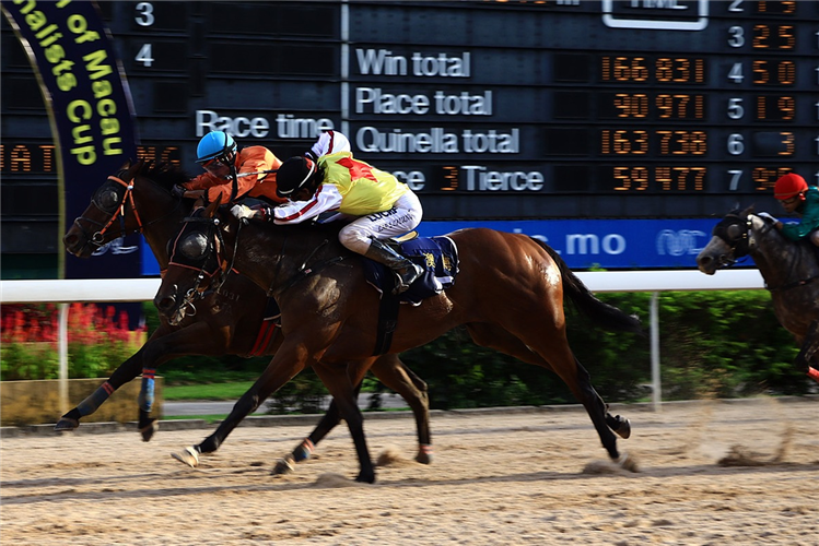 KING OF GLAMOUR winning the THE HULL