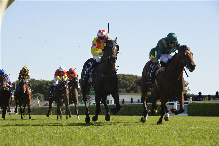 KING'S LEGACY winning the Moet & Chandon Champagne Stakes.