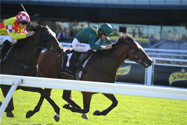 KING'S LEGACY winning the Moet & Chandon Champagne Stakes.