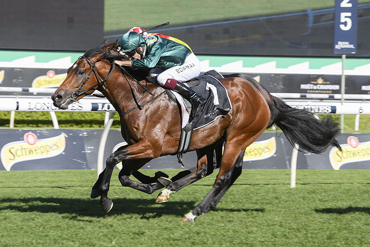 KING'S LEGACY winning the Moet & Chandon Champagne Stks.