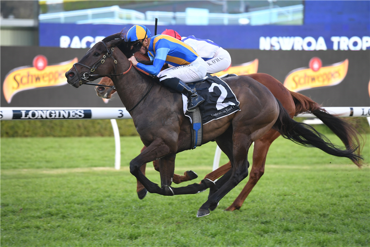 KISS THE BRIDE winning the Nswroa Trophy (Bm78).