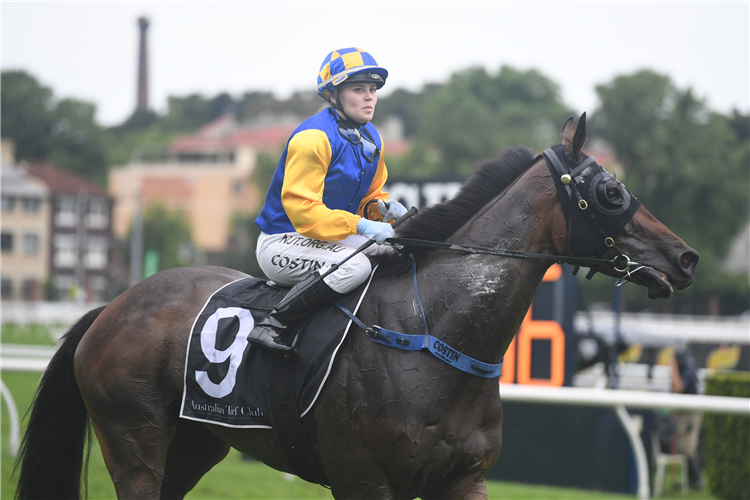 KNIGHTS ORDER winning the Clubsnsw City Tattersalls Club Cup at Royal Randwick in Australia.