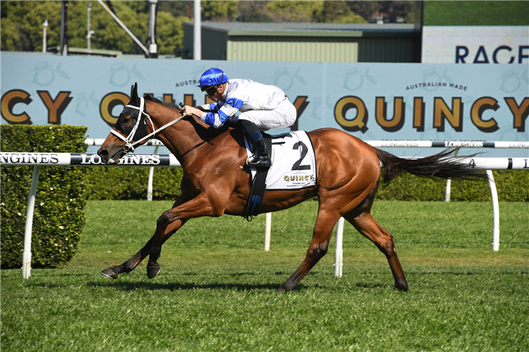 KOLDING winning the Quincy Seltzer Hill Stakes.