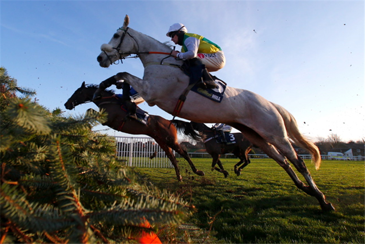 LAKE VIEW LAD winning the William Hill Many Clouds Chase (Grade 2) (GBB Race)