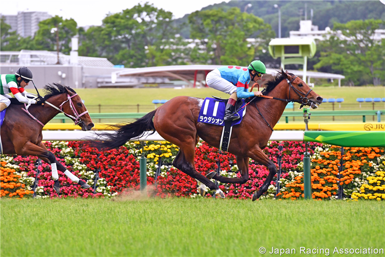 LAUDA SION winning the NHK Mile Cup at Tokyo in Japan.