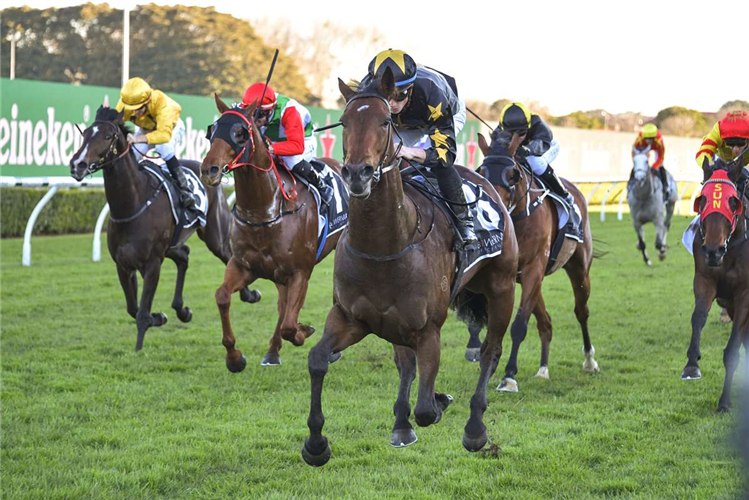 Le Gai Soleil winning at Randwick on Wednesday.