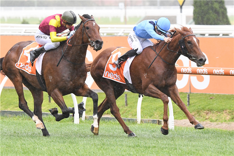 LEALE winning the Neds Extra Head Hcp