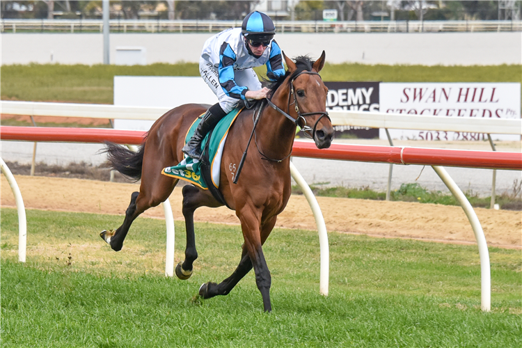 LET'S KARAKA DEEL winning the Spoons Riverside Maiden Plate in Swan Hill, Australia.