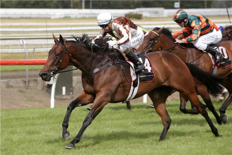 LEVANTE winning the Haunui Farm Counties Bowl