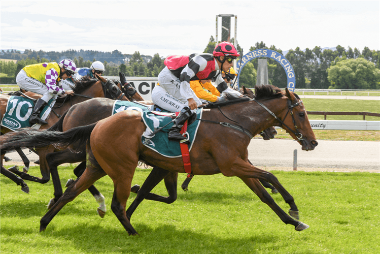 LIGHTNING JACK winning the Liquorland Gore Guineas