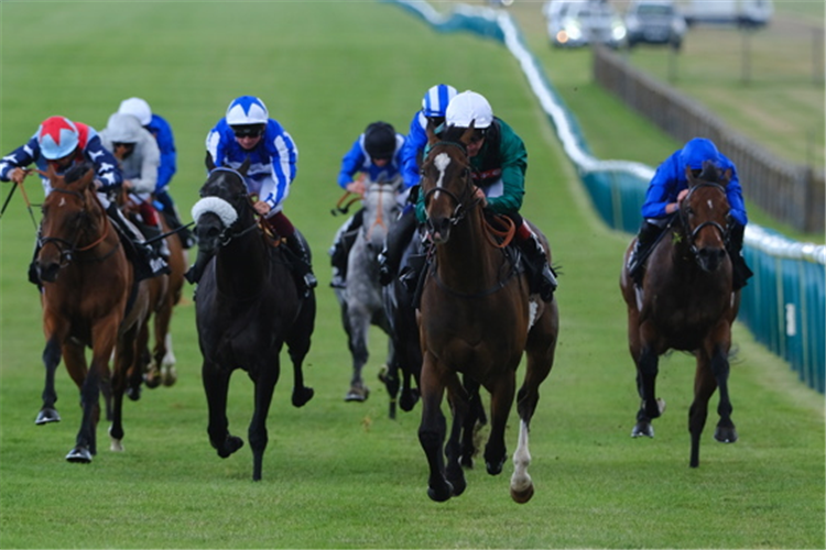 LIMATO winning the Criterion Stakes at Newmarket in England.