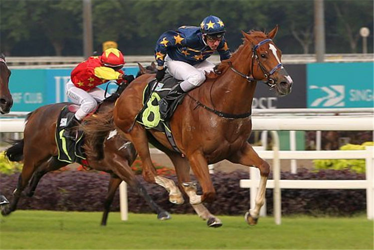 LIM'S SPIN winning the ELITE INVINCIBLE 2018 STAKES RESTRICTED MAIDEN