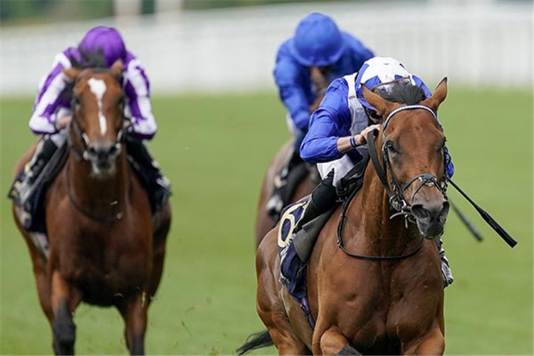 LORD NORTH winning the Prince Of Wales's Stakes at Ascot in England.
