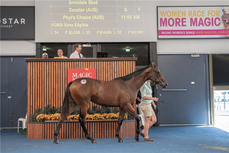 Lot 35 Zoustar - Phyl's Choice filly.