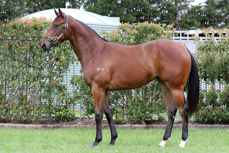 Lot 471. Exceed And Excel - Swaane filly.