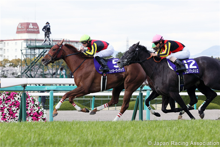 LUCKY LILAC winning the Osaka Hai in Hanshin, Japan.