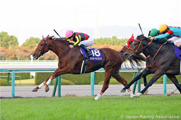 LUCKY LILAC winning the Queen Elizabeth II Cup at Hanshin in Japan.