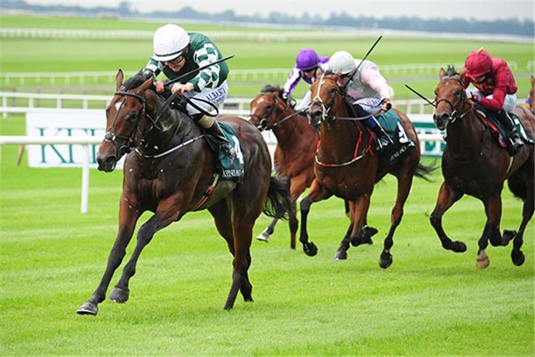 LUCKY VEGA winning the Phoenix Stakes at Curragh in Ireland.