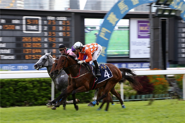 LUEN ON POSEIDON winning the THE SANTAREM