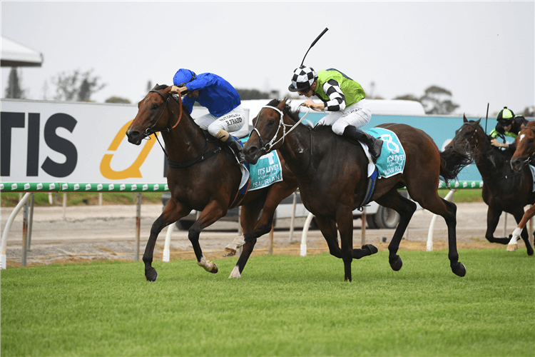MADAM ROUGE winning the $1m Live In Qld Magic Millions Snippets.