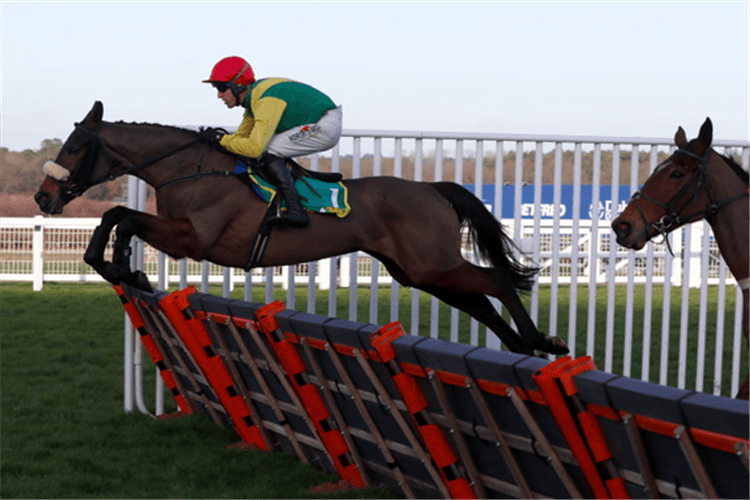 MAGIC OF LIGHT winning the bet365 Mares' Hurdle (Registered As The Warfield) (Grade 2)