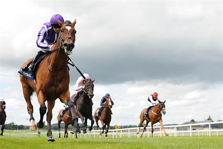 MAGICAL winning the Tattersalls Gold Cup at Curragh in Ireland.