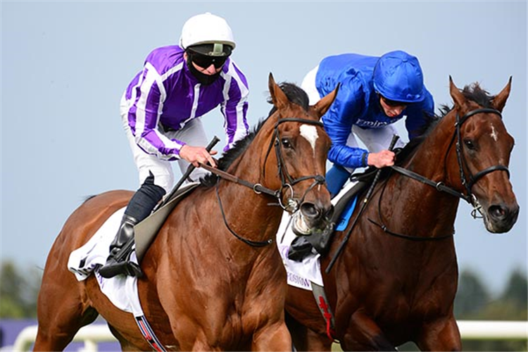 MAGICAL (White Cap) winning the Irish Champion Stakes at Leopardstown in Ireland.