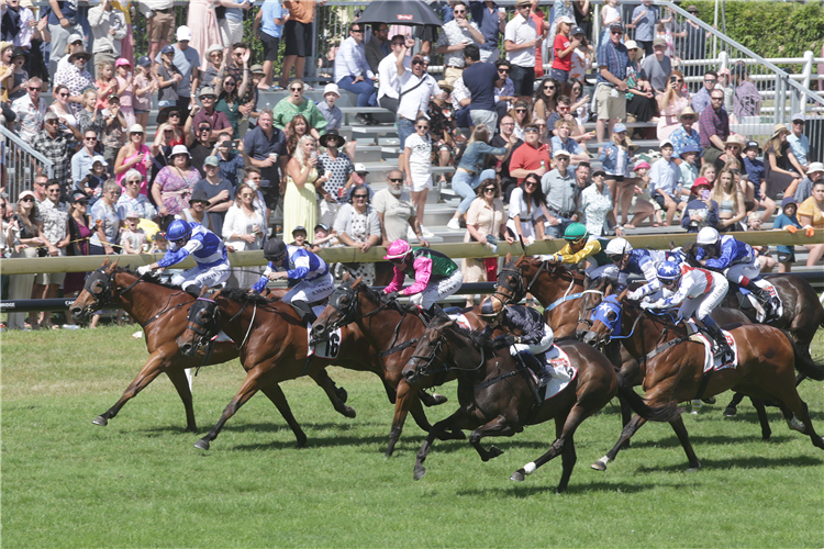 Mai Tai (centre, black colours) bursts to the lead in front of the large crowd on-course at Ellerslie on Boxing Day