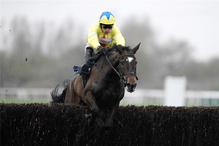 Harry Skelton riding MAIRE BANRIGH clear the last to win ThePertemps Lady Protectress Mares' Chase at Huntingdon Racecourse in Huntingdon, England.