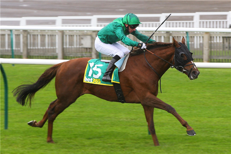 MAJESTIC DAWN winning the Cambridgeshire Handicap.