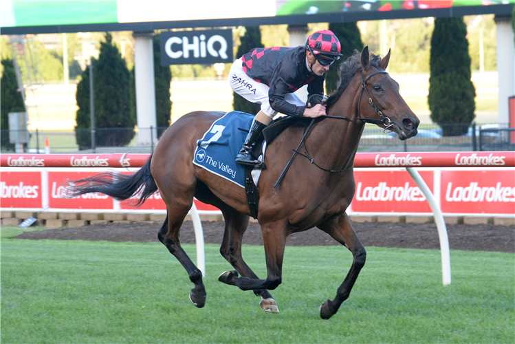 MALICORNE winning the ADAPT Australia Handicap at Moonee Valley in Moonee Ponds, Australia.