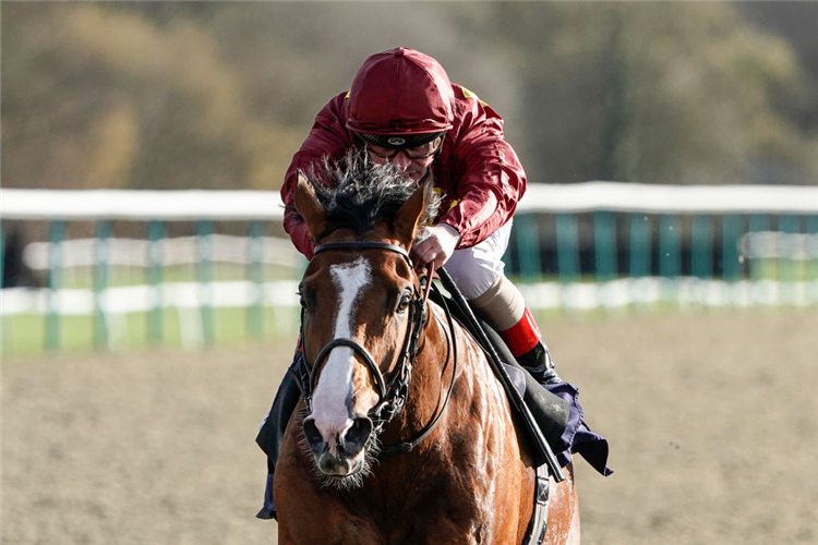 MALOTRU winning the Ladbrokes Home Of The Odds Boost Spring Cup Stakes at Lingfield Park in Lingfield, England.