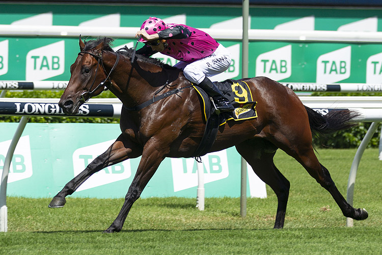 MAMARAGAN winning the Schweppes Skyline Stakes