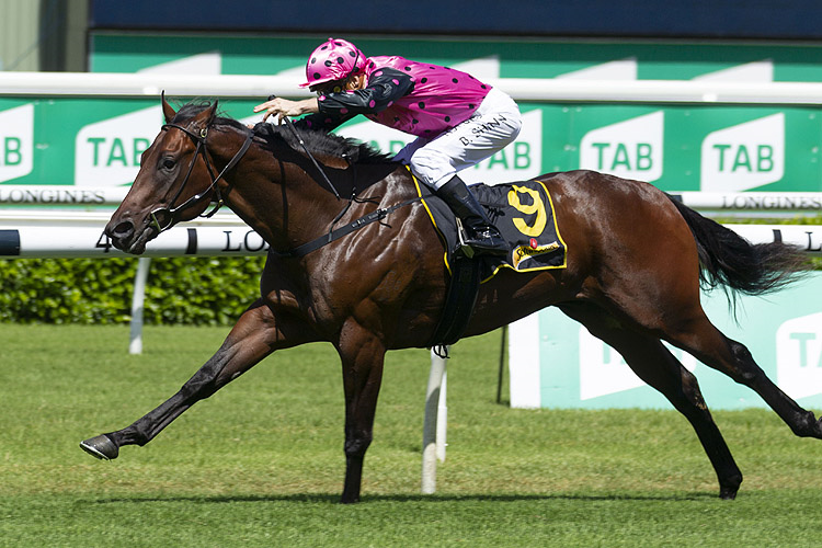 MAMARAGAN winning the Schweppes Skyline Stakes