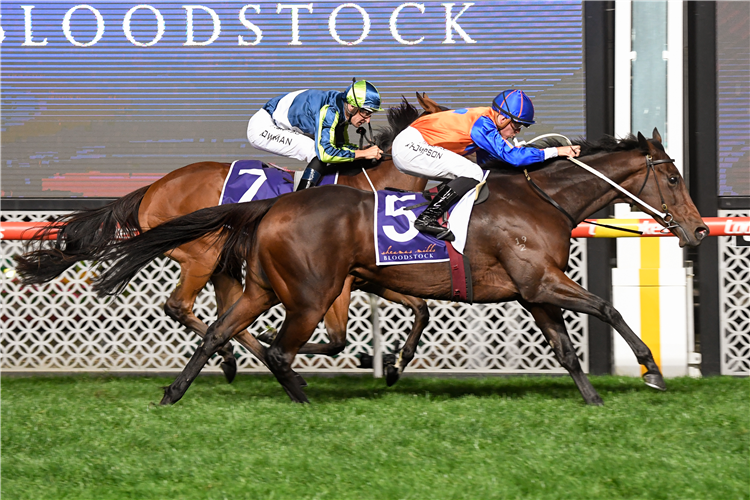 MAMZELLE TESS winning the Sunline Stakes.