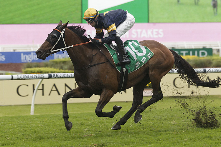 MASTER OF WINE winning the Tab Sky High Stakes