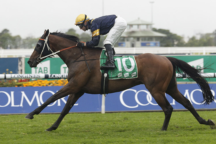 MASTER OF WINE winning the Tab Sky High Stakes