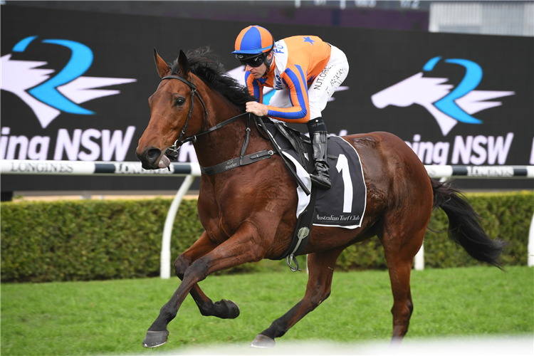 MELODY BELLE running in the The Star Doncaster Mile.