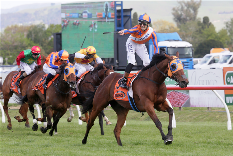 MELODY BELLE winning the Livamol Classic