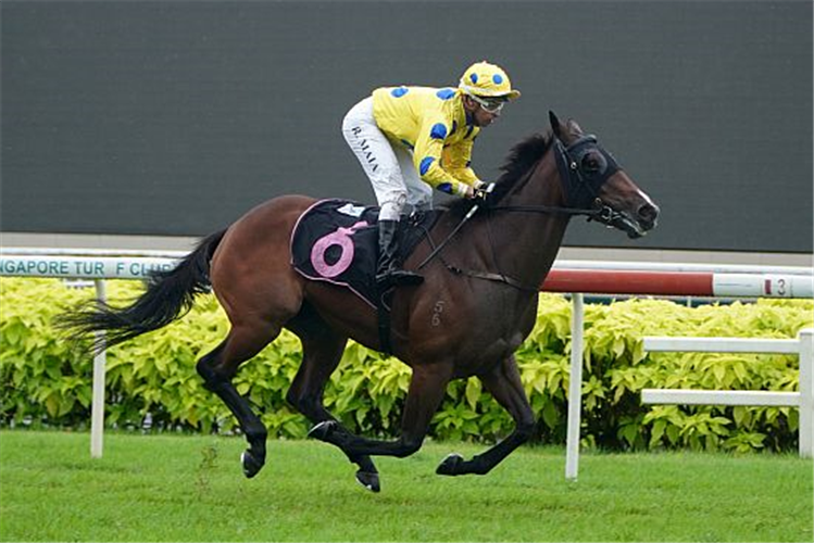 MERYL winning the MEXICAN ROSE 2010 STAKES CLASS 4