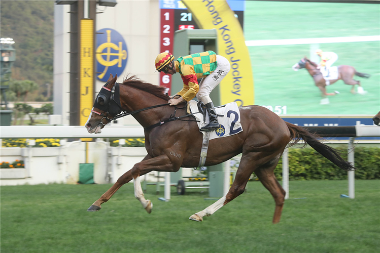 MIGHTY GIANT winning the Dorset Hcp.