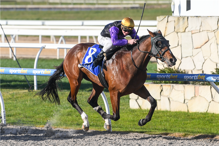 MILTON PARK winning the Vale George Dore OAM Class 1 Handicap at Sportsbet Pakenham Synthetic in Pakenham, Australia.