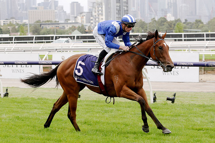 MINHAAJ winning the Tbv Thoroughbred Breeders Stks