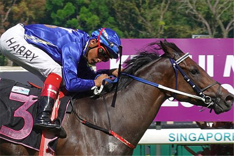 MINISTER winning the WAIKATO 2009 STAKES CLASS 2